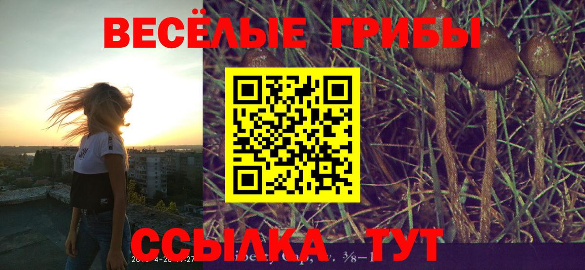 Галлюциногенные грибы мицелий Новоалександровск