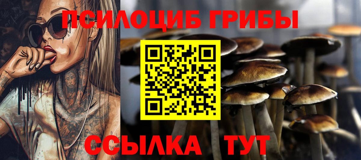 Галлюциногенные грибы ЛСД  Вход с VPN  Новоалександровск 